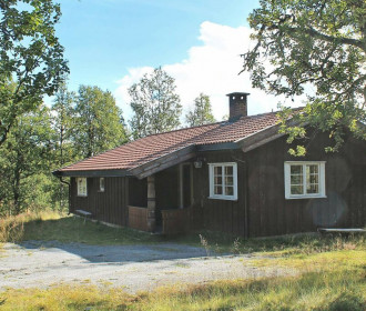 30017- Fjellsol